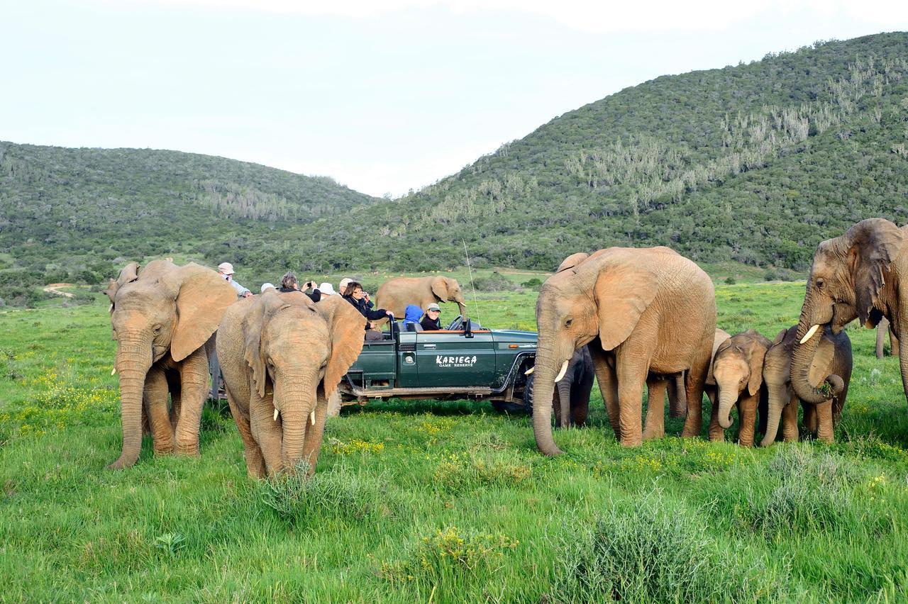 Kariega Game Reserve Ukhozi Lodge